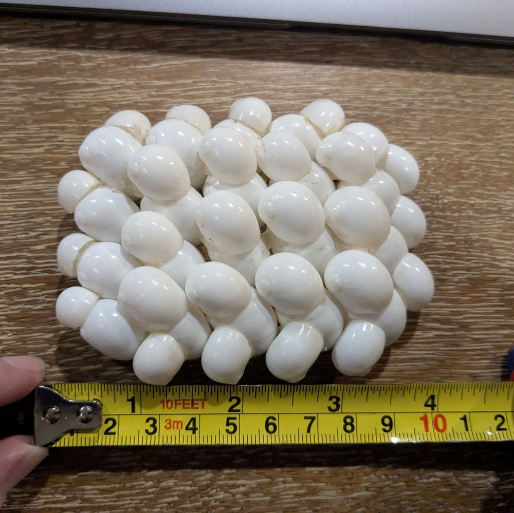 Unique Handmade Shell Belt Buckle